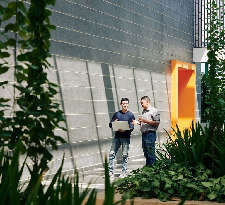 Zespół winternecie.pl